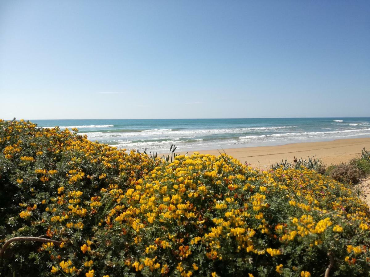 트레 폰타네 Casa Vacanze Mediterraneo 빌라 외부 사진